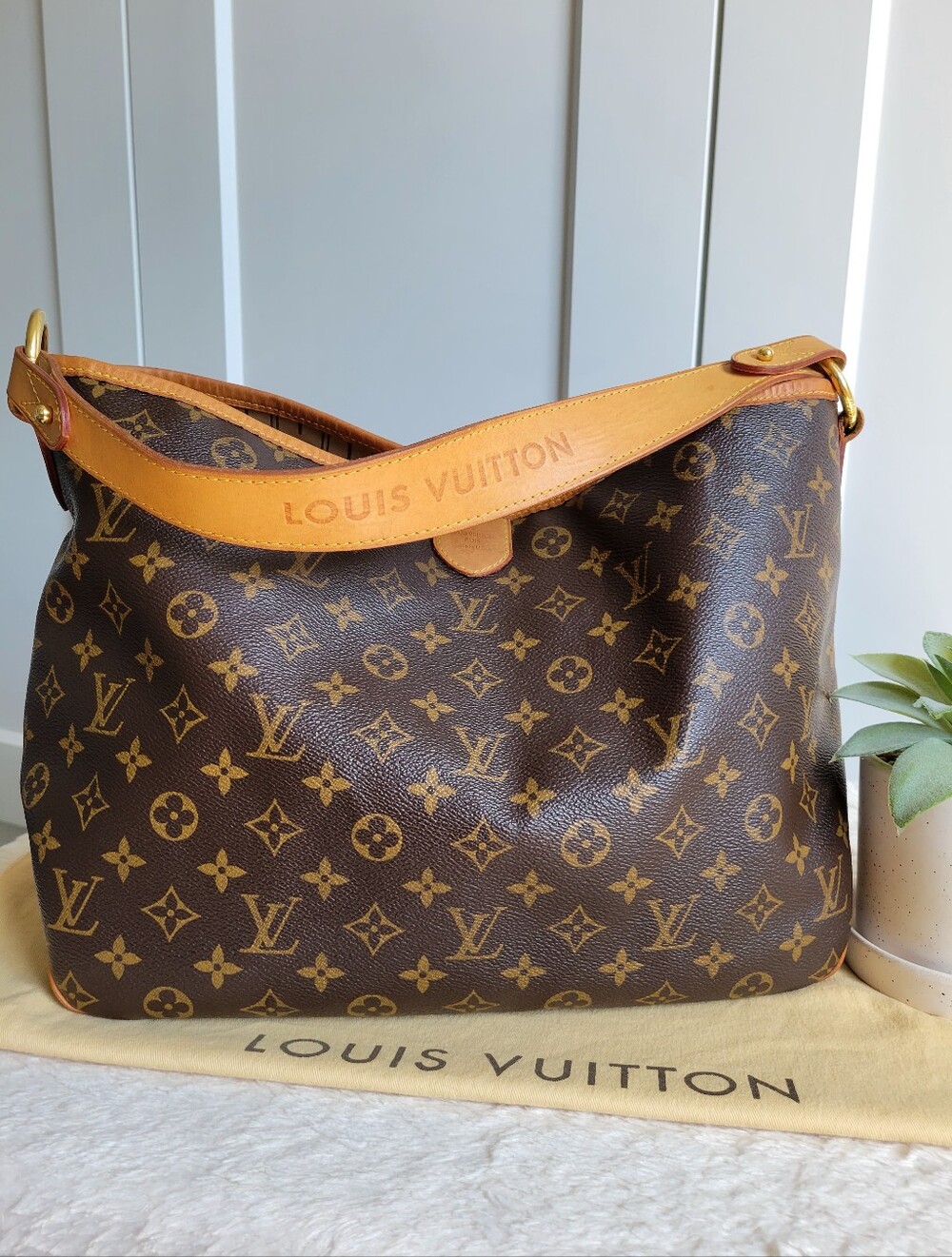 DISCONTINUED 💕Authentic Louis Vuitton DELIGHTFUL PM Hobo Shoulder Bag Monogram